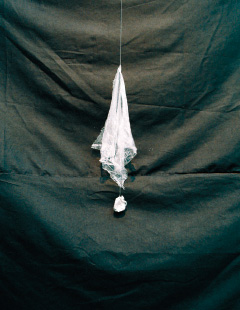 String telephone 2011